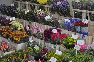De Bloemen & Plantenbeurs